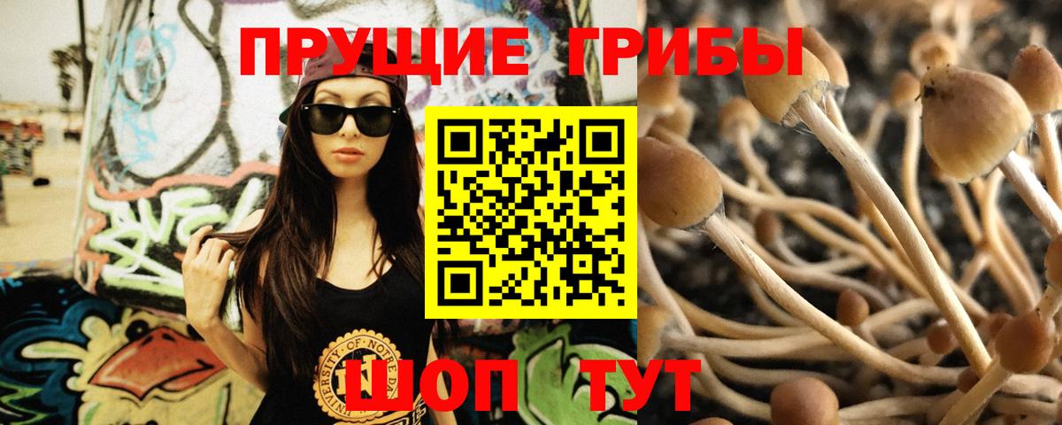 Псилоцибиновые грибы Magic Shrooms  Псилоцибиновые грибы Psilocybine cubensis  Печора  Вход с VPN 