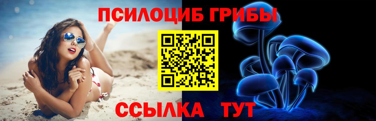 Галлюциногенные грибы Cubensis Печора